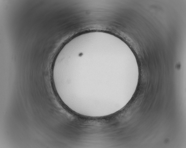 X0000097610625200803211723