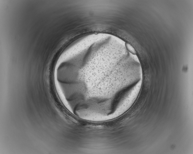 X0000097610626200803211723