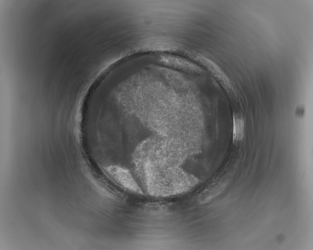 X0000097610627200803211723