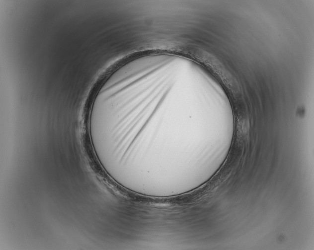 X0000097610628200803211723