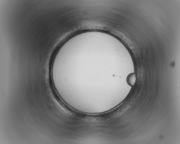 X0000097610629200803211723