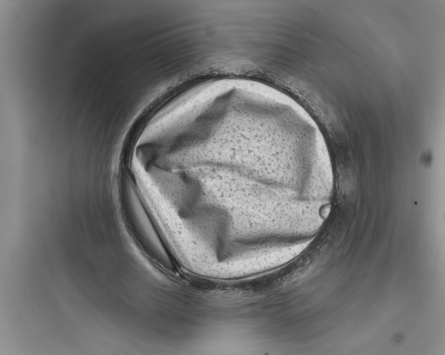 X0000097610630200803211723