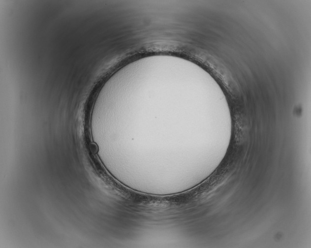 X0000097610631200803211723