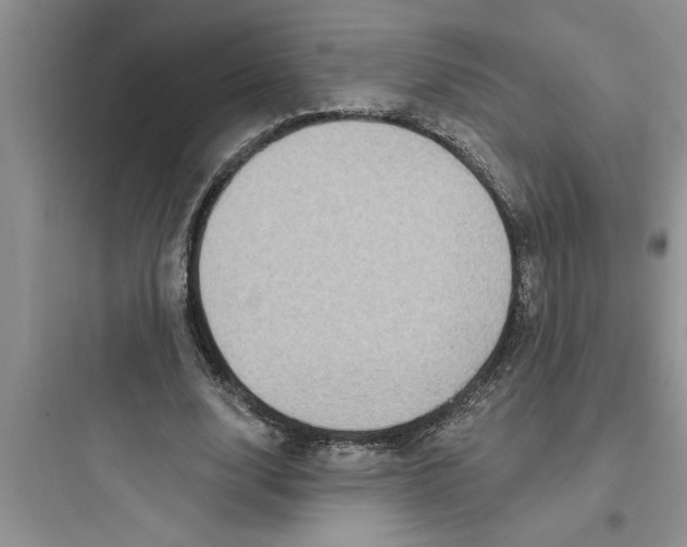 X0000097610632200803211723