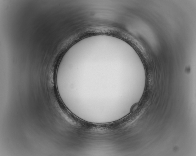 X0000097610633200803211723