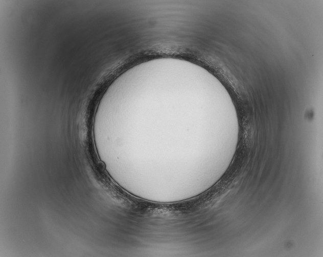 X0000097610635200803211723