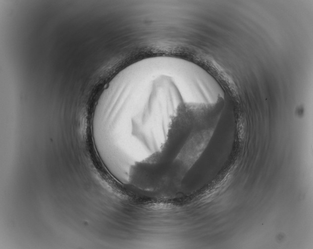 X0000097610637200803211724