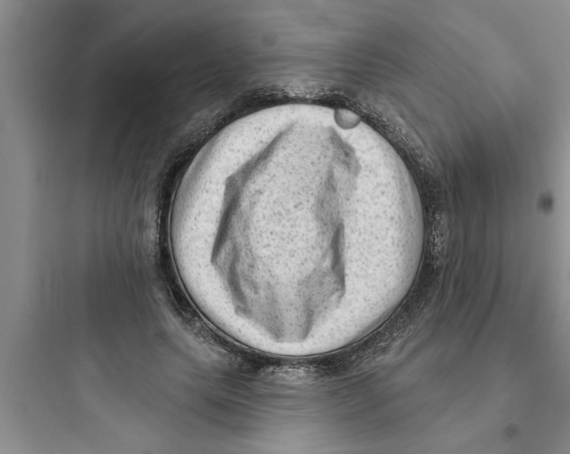 X0000097610639200803211724