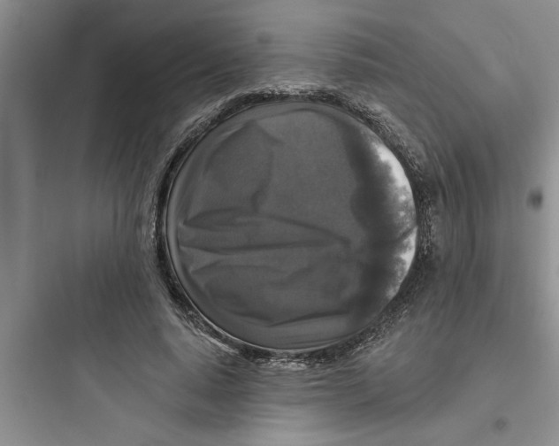 X0000097610640200803211724