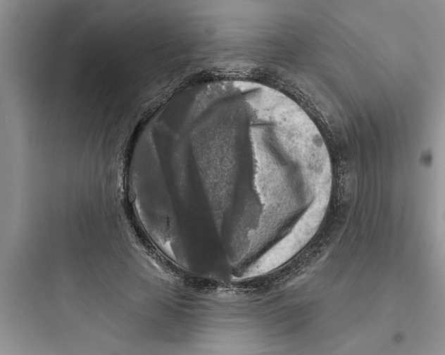 X0000097610641200803211724