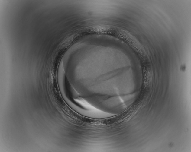 X0000097610644200803211724