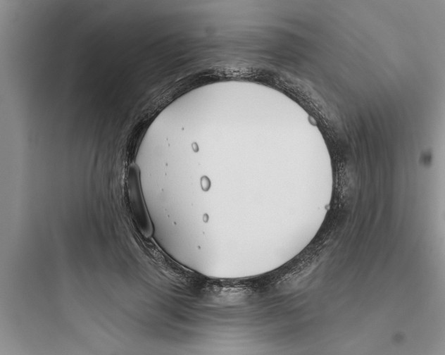 X0000097610645200803211724