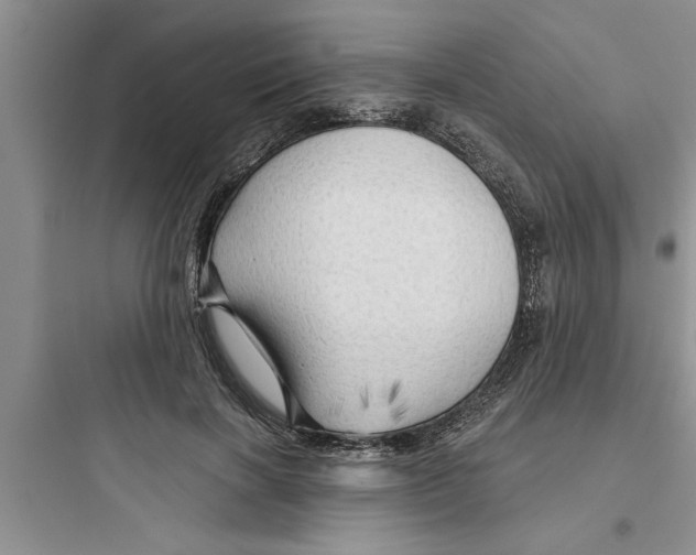 X0000097610646200803211724