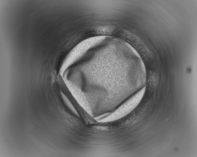 X0000097610649200803211724