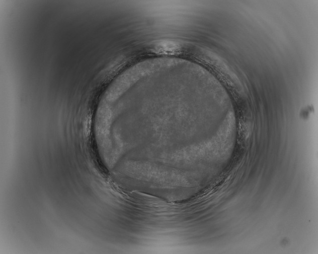 X0000097610652200803211724