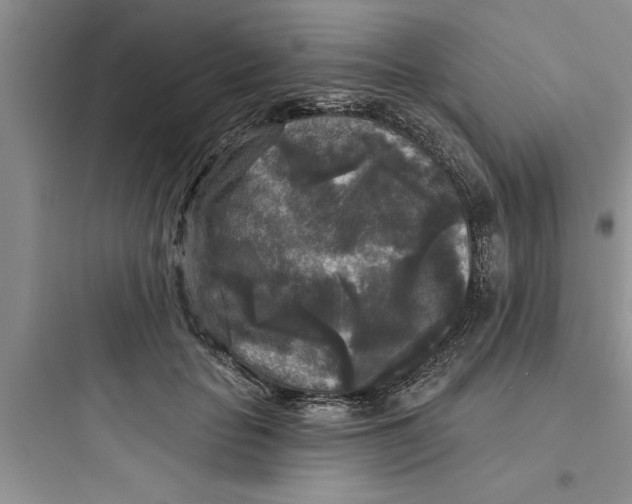 X0000097610653200803211724