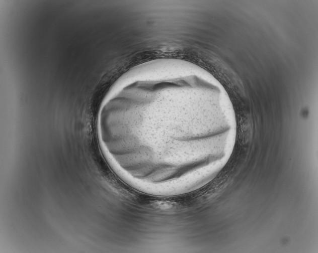 X0000097610654200803211724