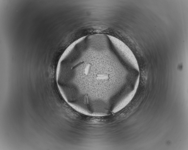 X0000097610657200803211724