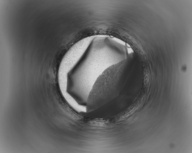 X0000097610661200803211724