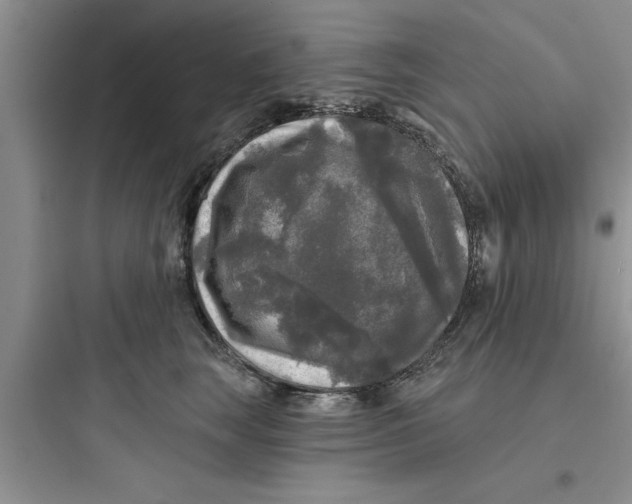 X0000097610663200803211724