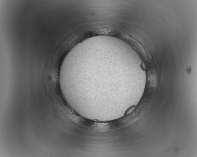 X0000097610665200803211724