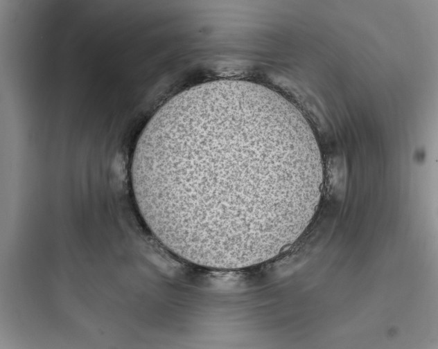 X0000097610667200803211724