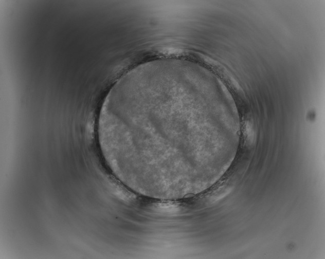 X0000097610668200803211724