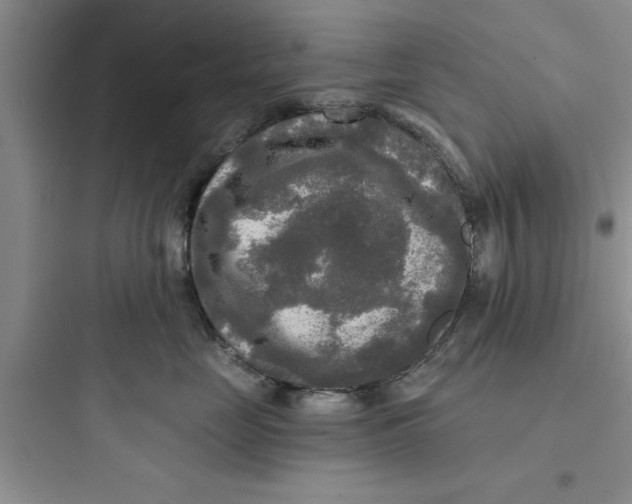 X0000097610669200803211724