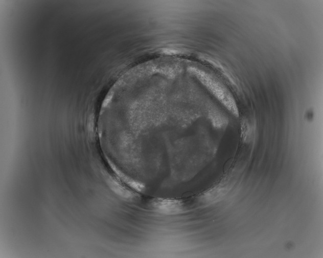 X0000097610670200803211724