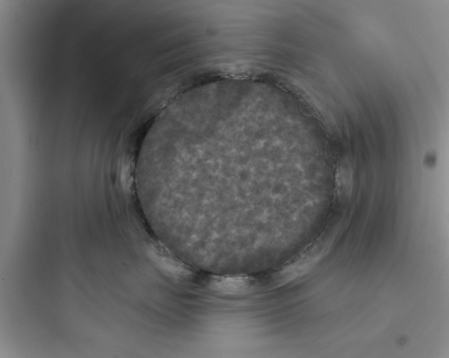 X0000097610671200803211724