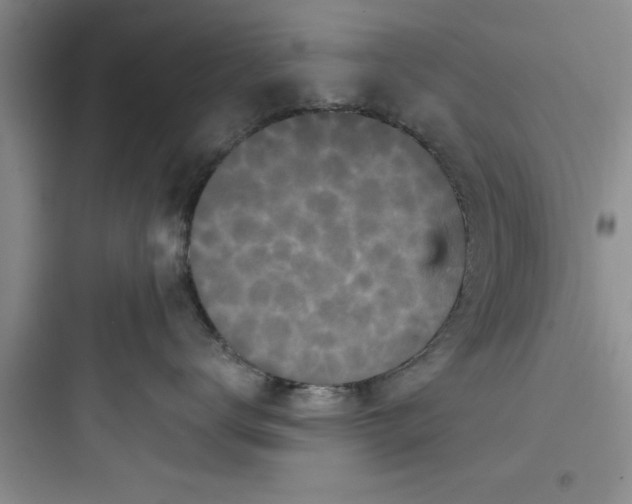 X0000097610672200803211724