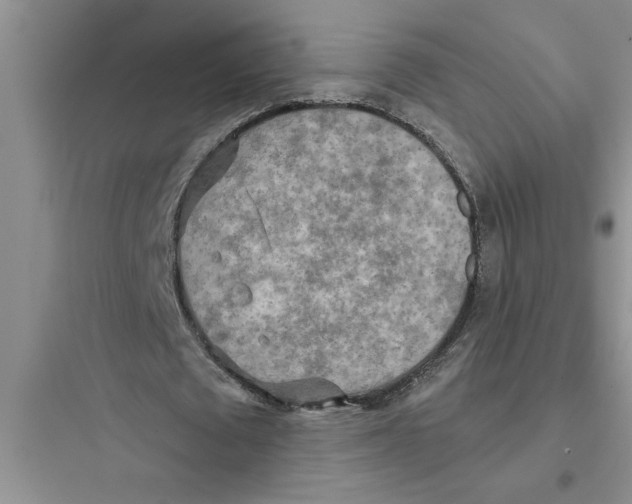 X0000097610673200803211723