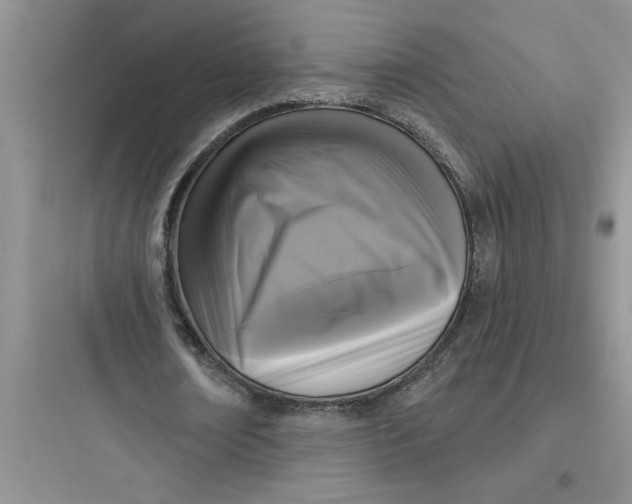 X0000097610674200803211723