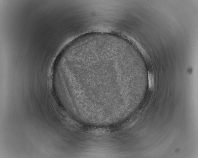 X0000097610675200803211723