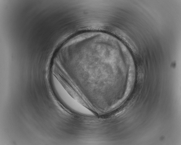 X0000097610677200803211723