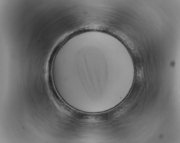 X0000097610678200803211723