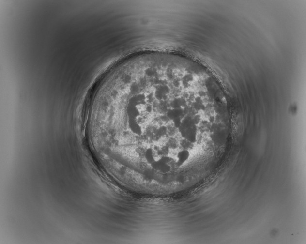 X0000097610679200803211723