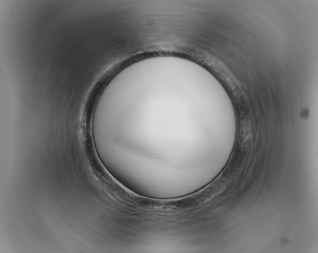 X0000097610680200803211723