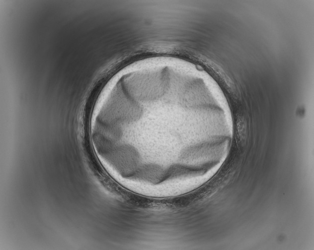 X0000097610682200803211723