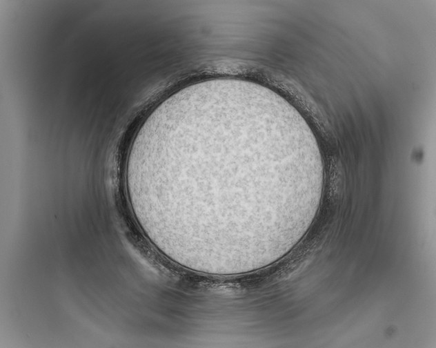 X0000097610683200803211723