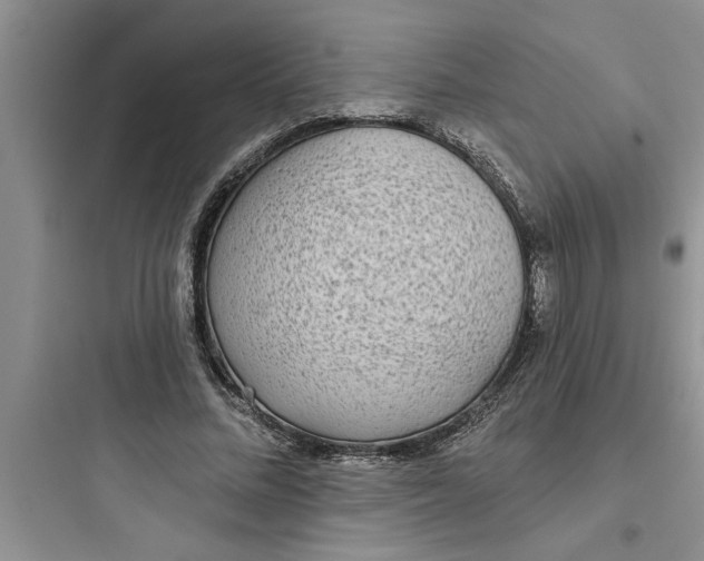 X0000097610684200803211723