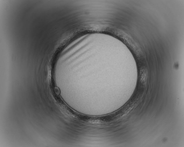 X0000097610685200803211723