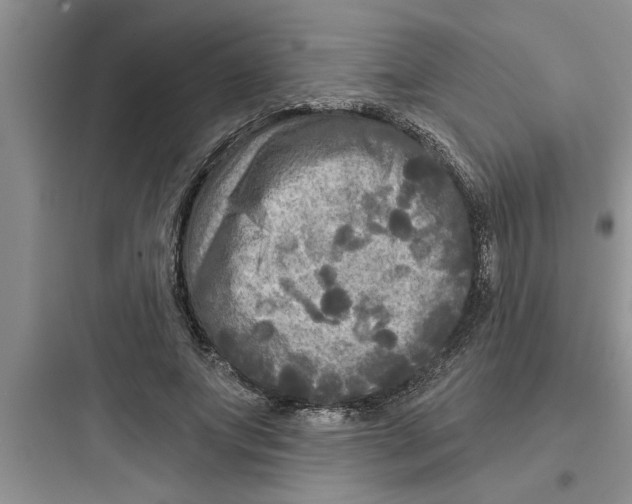 X0000097610687200803211723