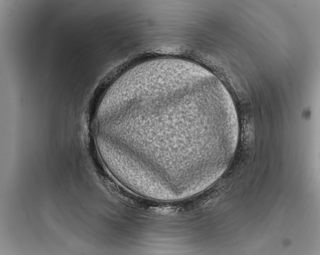 X0000097610688200803211723