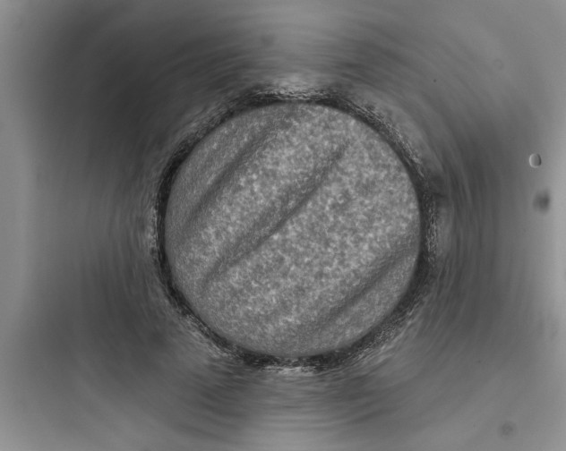 X0000097610689200803211723