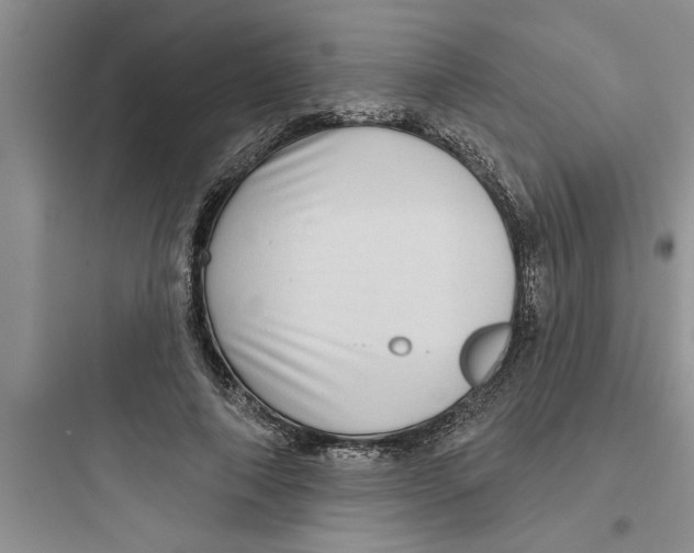 X0000097610690200803211723