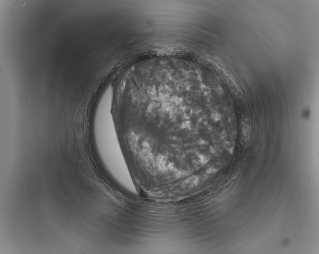 X0000097610691200803211723