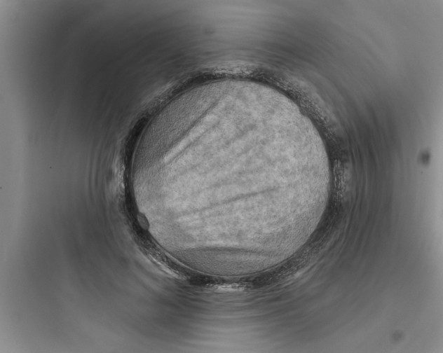 X0000097610692200803211723