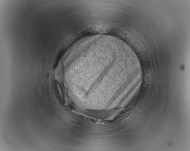 X0000097610693200803211723