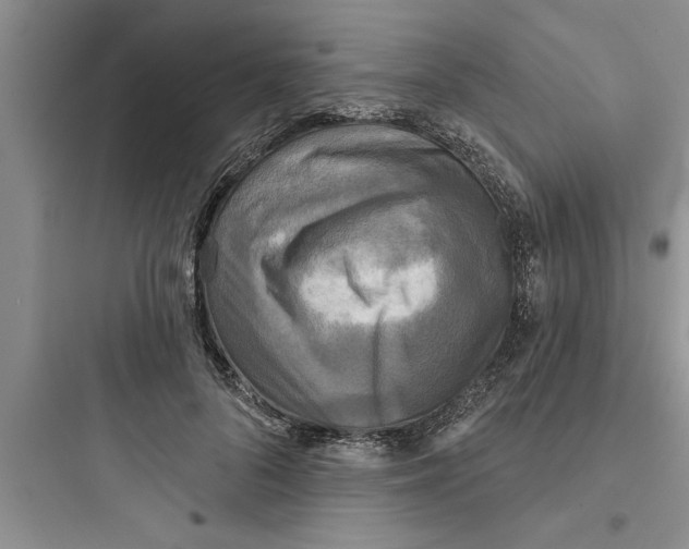 X0000097610696200803211723